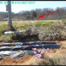 자연미곡정미소 이미지