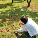 해미2농장 이미지