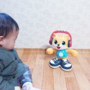 오 마이 캣 이미지