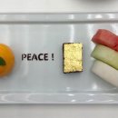 사진을 찍다 이미지