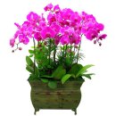 번영 공인중개사사무소 이미지