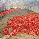 한샘농장 이미지