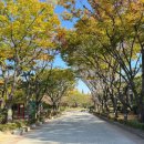 장전마을회관 | 전일갑오를 위한 전주 당일치기