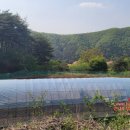 미리내차량관리 이미지