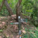 알레(ALLE) 이미지