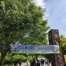 노들나루공원 | 2025 동작구 장애인 트레킹대회 다녀왔어요! (노들나루공원)