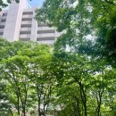 산본문구 이미지