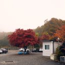 섬진강메기매운탕전문점 이미지