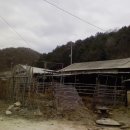 동두천큰시장 이미지