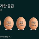 알부자집 - 양주시 | 알부자집