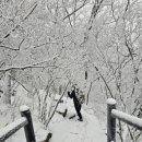 큰골사슴 네이버블로그
