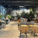 타파웨어 루비라 | 김포 대형카페 브런치 맛집