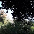 고성리-15 이미지