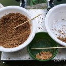 산외 강현낚시터 이미지