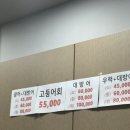 대보수산 이미지