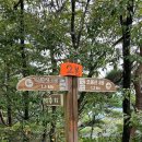 호남카센타 | 오봉산