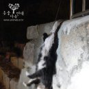 연대앞 공중화장실 이미지