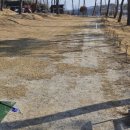 청솔파크 이미지