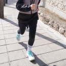 엔돌핀 | 써코니 엔돌핀 아주라 데일리 러닝화 후기