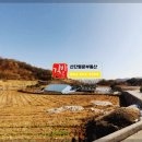 땅나와부동산중개 이미지