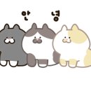 카페051못골