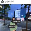 몬스터안경