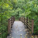 대나무집펜션 이미지