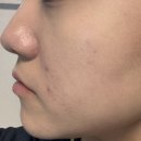 21호선 구도로 | [이자녹스 비타웨어 커버쿠션 21호]유튜버 인씨님 쿠션 내돈내산 후기