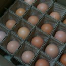 쌀눈쌀 돌솥밥 이미지