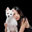 지나펫살롱 | [상암동 사진관] 강아지 프로필사진 촬영, 덕양구 "스튜디오 공감" 후기