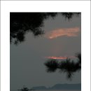 빈*희