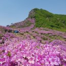 제 3차 광주 역사문화 트레킹 이미지