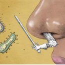 (다살이) 34. 흐르는 콧물에 바이러스도 떠내려간다. 이미지
