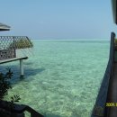 선아일랜드 이미지