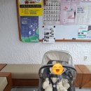 폭스2 | 유모차 실제사용 후기(부가부 폭스2, 부가부 비6, 스토케 베이비젠 요요2, 리안 솔로, 리안 그램플러스)