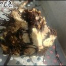 만성농장 이미지