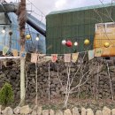 복기농장 이미지