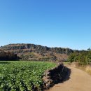 말미목장 이미지