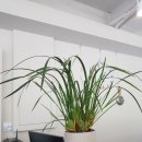 부칸산837 이미지