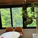 투썸플레이스 동학사점 네이버블로그