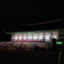 경복궁관리소 | 2025 하반기 '경복궁 야간개장' 후기 및 관람팁 (왕가의 산책, 궁중음악)