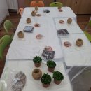 생태공예힐링핼퍼(2급) | 부산 해운대구 초등학교 학생 토피어리 만들기 어항 화분