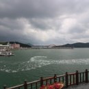 완도 주도 상록수림 | 완도 드라이브 풍경