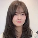 본디헤어