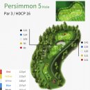 엠케이(MK) 골프클럽 | [여주 골프장] 솔모로CC 라운드 후기(25년 9월 26일) 퍼시먼 코스 - 소나무가 곳곳에 있어 재미와...