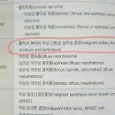 희귀 연부조직 육종 : Malignant Extrapleural Solitary Fibrous Tumor 이미지