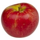 라.FRUTA 이미지