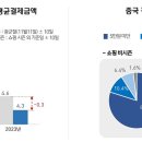 사치 이미지
