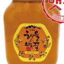 선흥개발