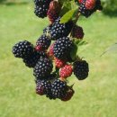 바른바디신경과의원 이미지